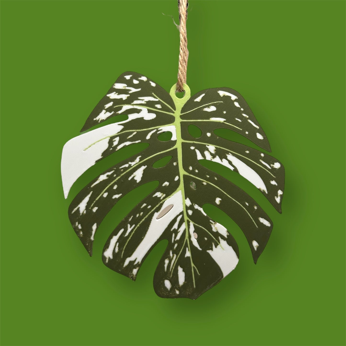 Variegated House Plant Christmas Tree Decorations