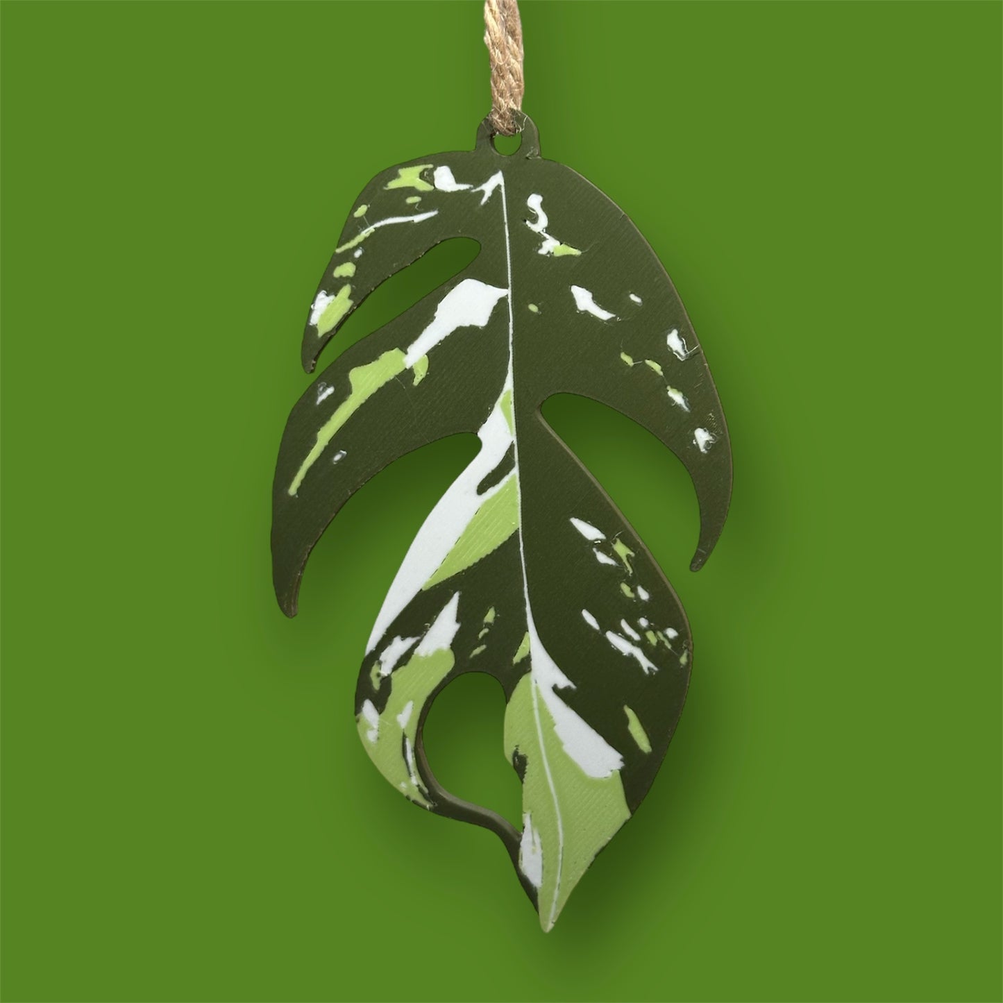 Variegated House Plant Christmas Tree Decorations