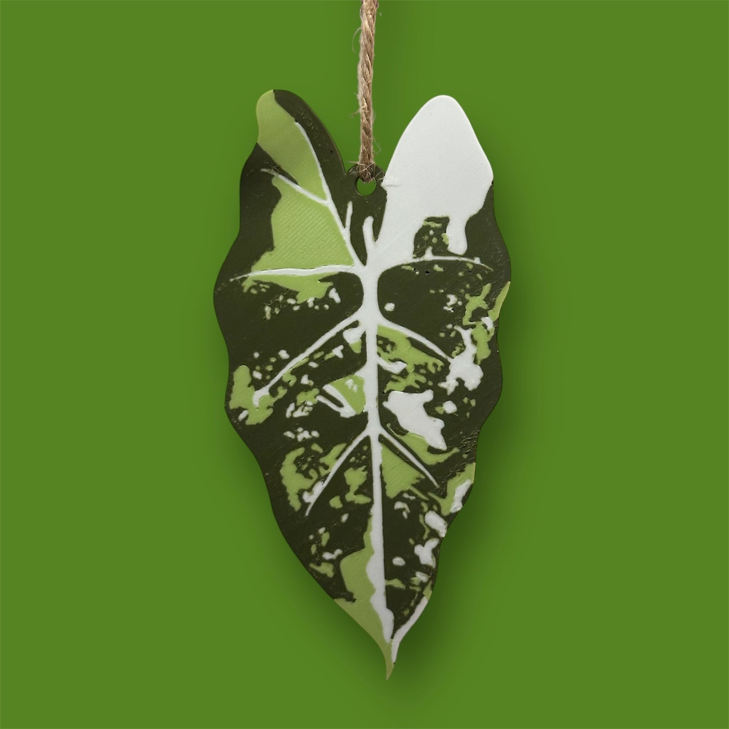 Variegated House Plant Christmas Tree Decorations
