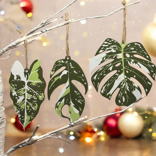 Variegated House Plant Christmas Tree Decorations