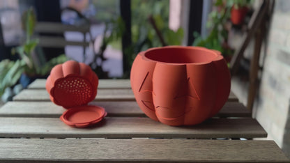 Cute Pumpkin Planter